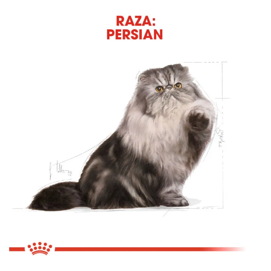 Royal Canin Persian pienso para gato adulto persa