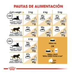 Royal Canin Persian pienso para gato adulto persa