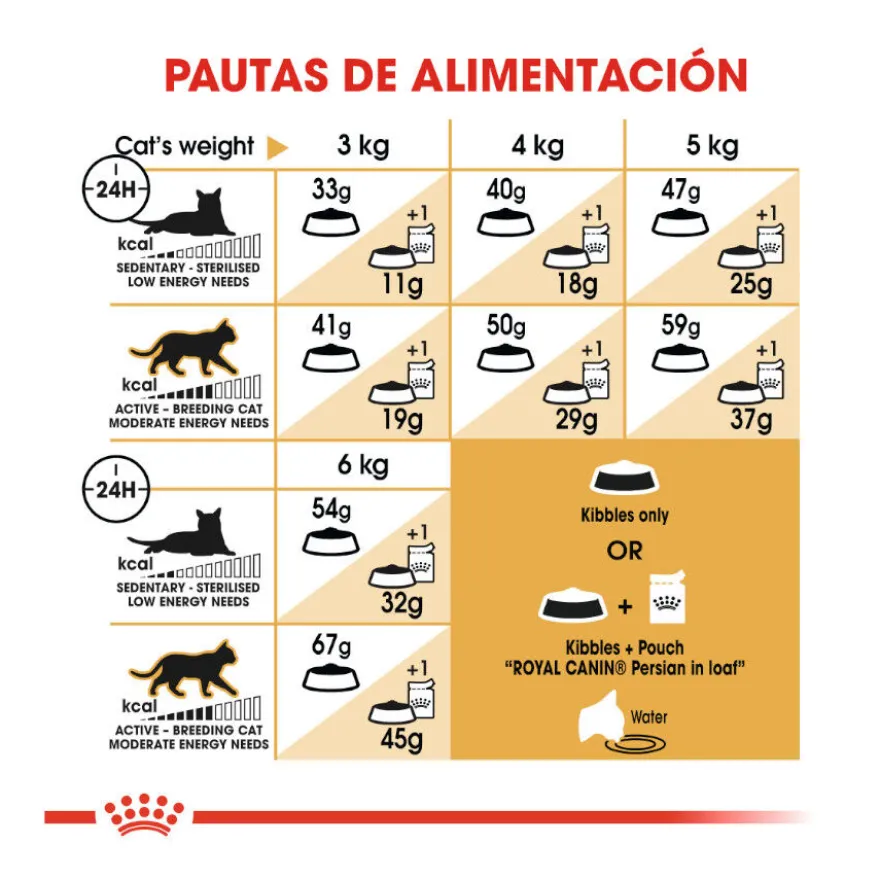 Royal Canin Persian pienso para gato adulto persa