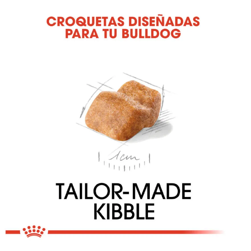 Royal Canin Puppy Bulldog pienso para perros