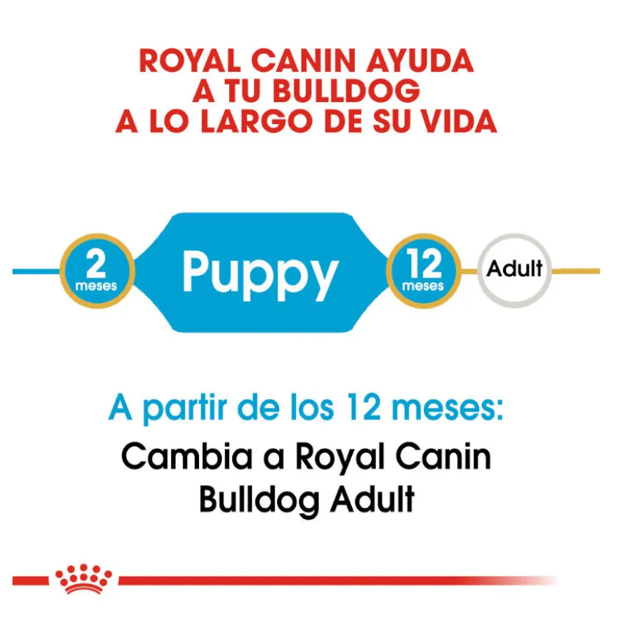 Royal Canin Puppy Bulldog pienso para perros