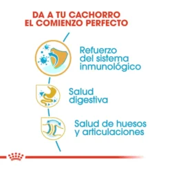 Royal Canin Puppy Bulldog pienso para perros