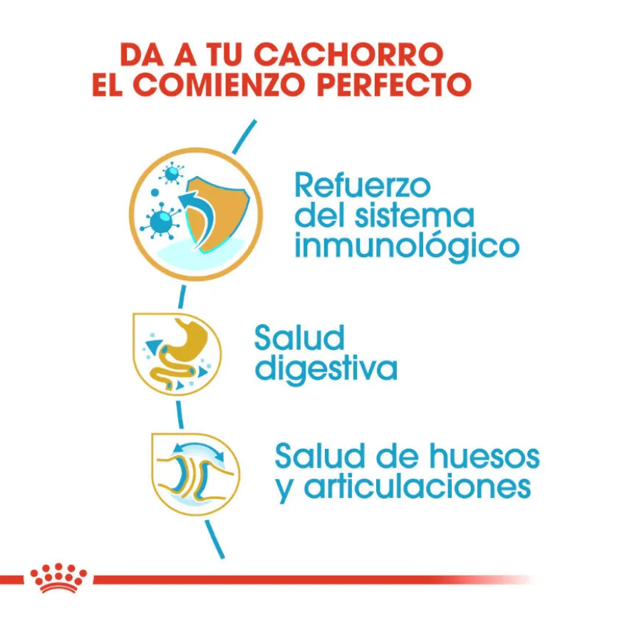 Royal Canin Puppy Bulldog pienso para perros