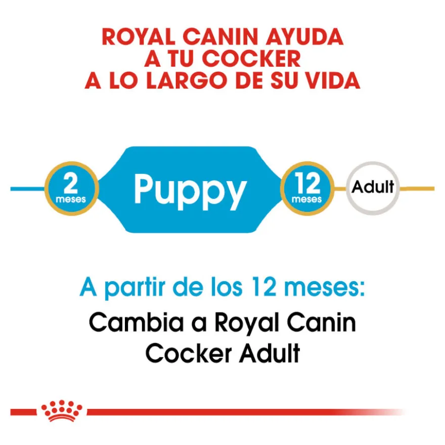 Royal Canin Puppy Cocker pienso para perros