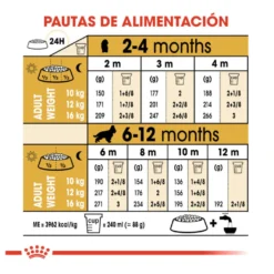 Royal Canin Puppy Cocker pienso para perros