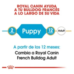Royal Canin Puppy French Bulldog pienso para perros
