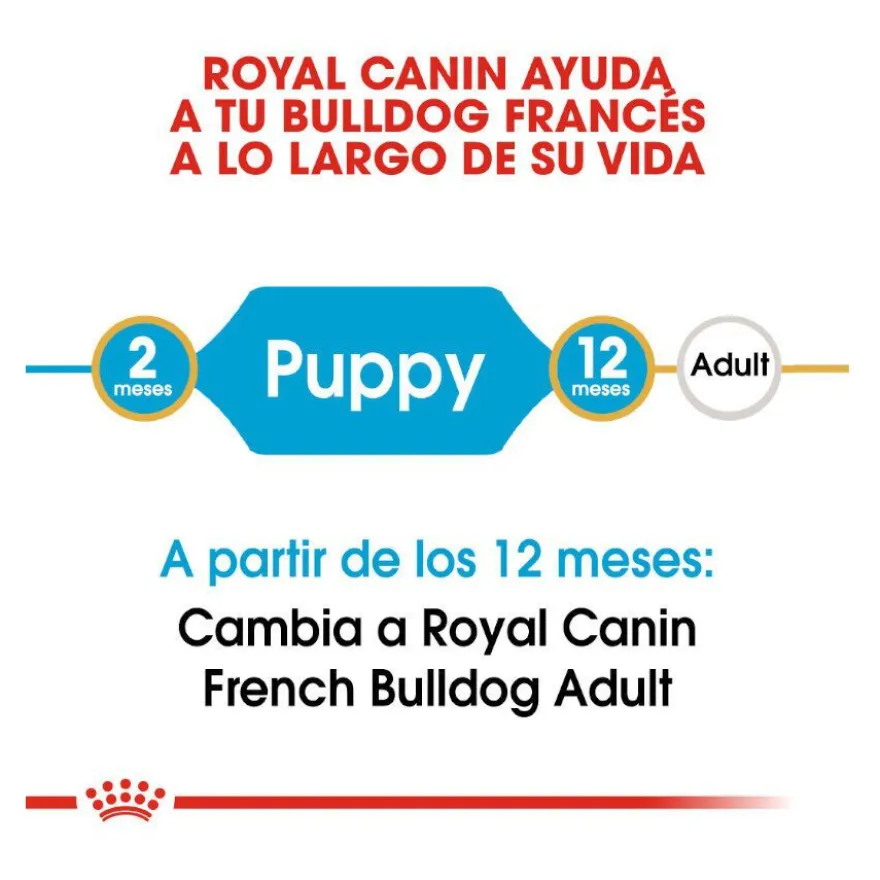 Royal Canin Puppy French Bulldog pienso para perros