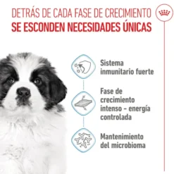 Royal Canin Puppy Giant pienso para perros