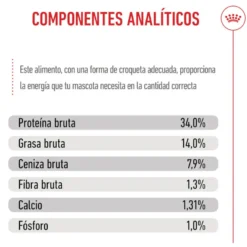 Royal Canin Puppy Giant pienso para perros