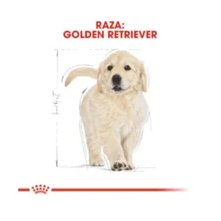 Royal Canin Puppy Golden Retriever pienso para perros