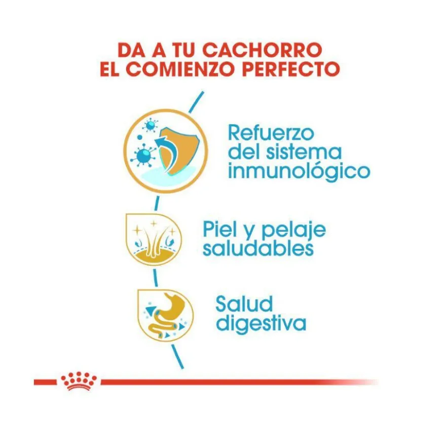Royal Canin Puppy Golden Retriever pienso para perros