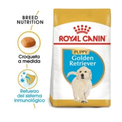 Royal Canin Puppy Golden Retriever pienso para perros