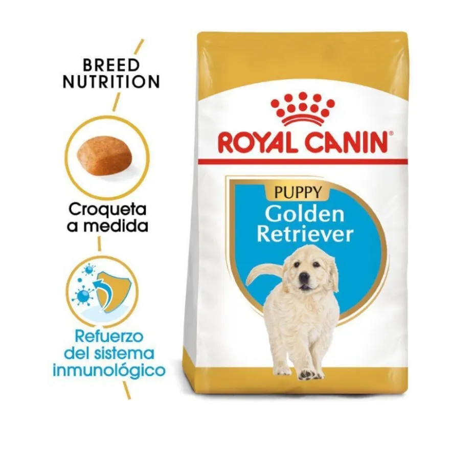 Royal Canin Puppy Golden Retriever pienso para perros