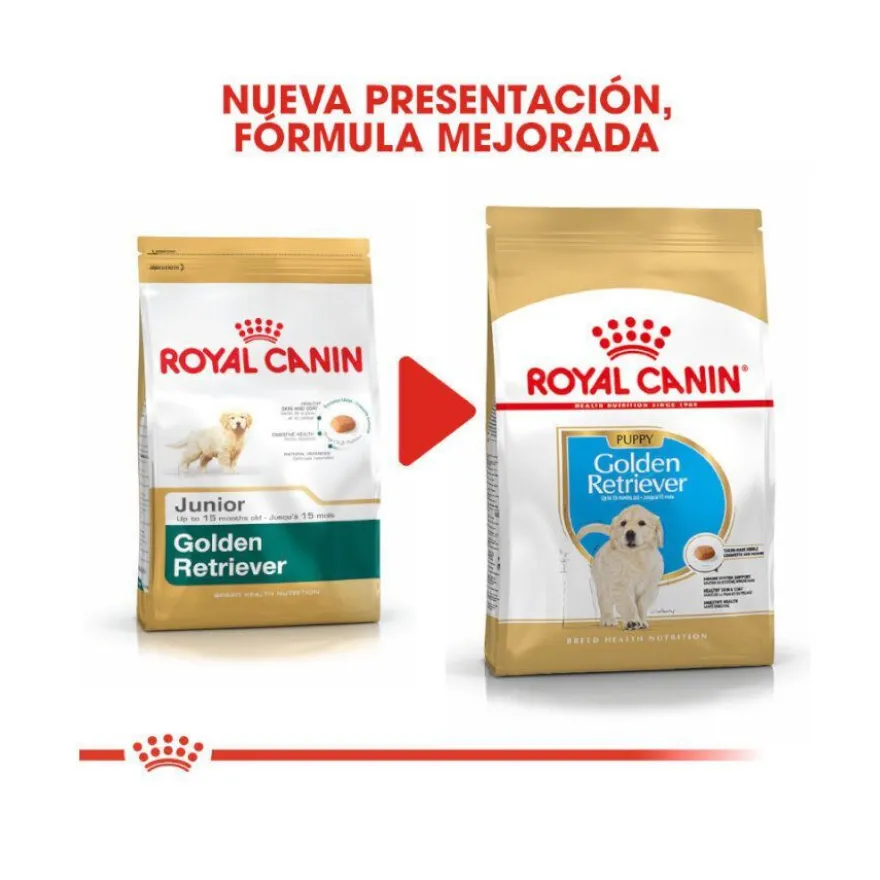 Royal Canin Puppy Golden Retriever pienso para perros