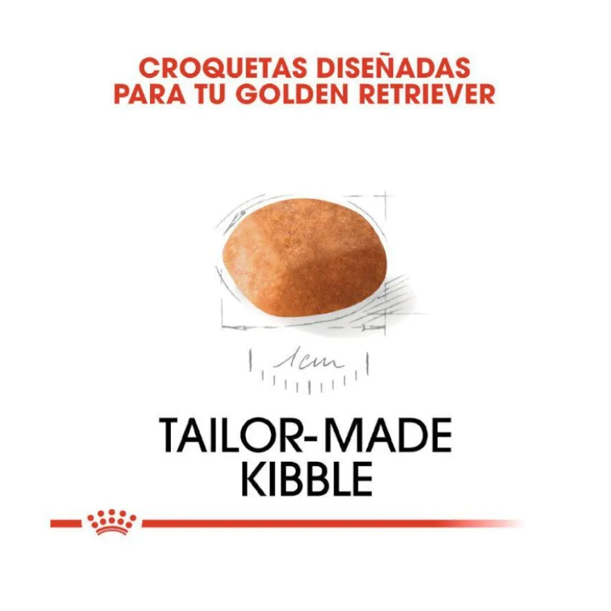 Royal Canin Puppy Golden Retriever pienso para perros