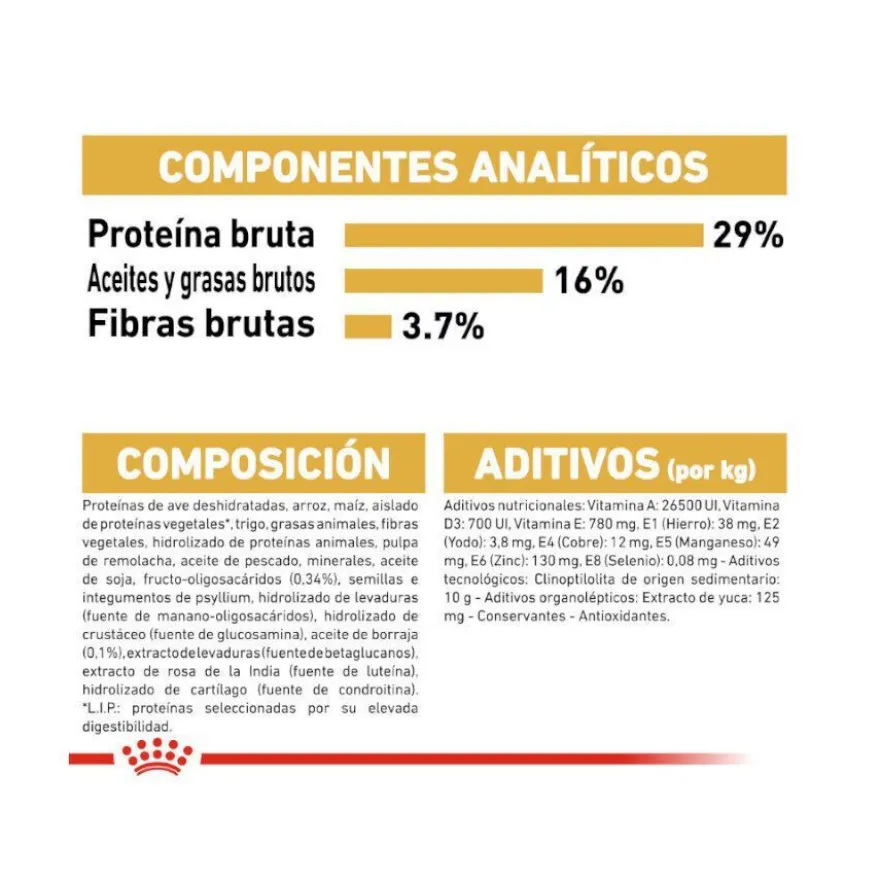 Royal Canin Puppy Golden Retriever pienso para perros