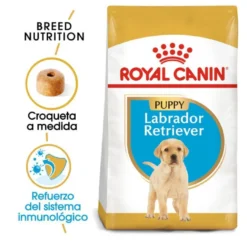 Royal Canin Puppy Labrador Retriever pienso para perros