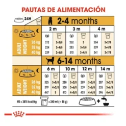 Royal Canin Puppy Labrador Retriever pienso para perros