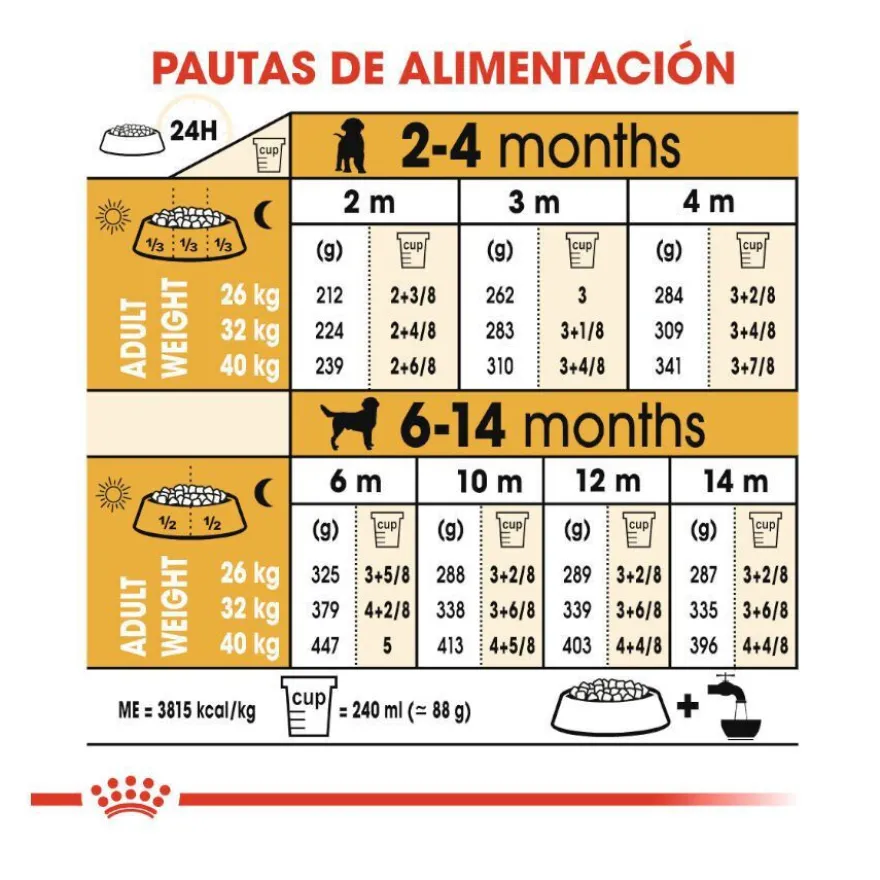 Royal Canin Puppy Labrador Retriever pienso para perros