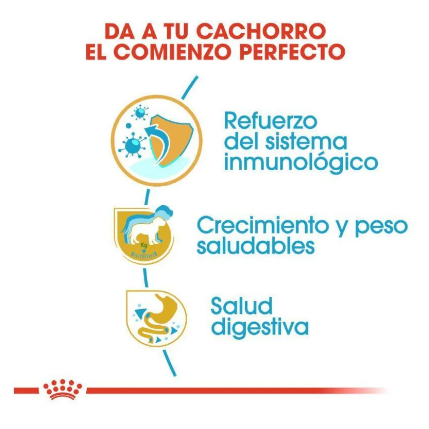 Royal Canin Puppy Labrador Retriever pienso para perros