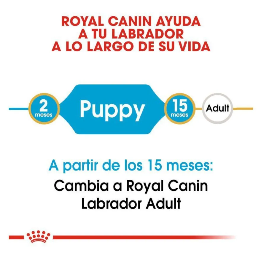 Royal Canin Puppy Labrador Retriever pienso para perros