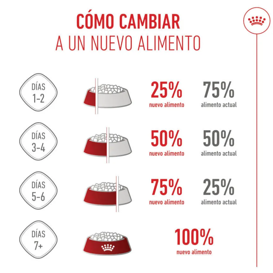 Royal Canin Puppy Maxi pienso para perros