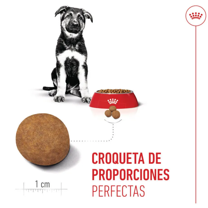 Royal Canin Puppy Maxi pienso para perros
