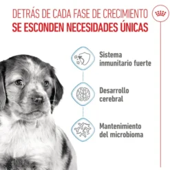 Royal Canin Puppy Medium pienso para perros