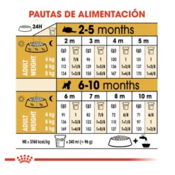 Royal Canin Puppy Miniature Schnauzer pienso para perros