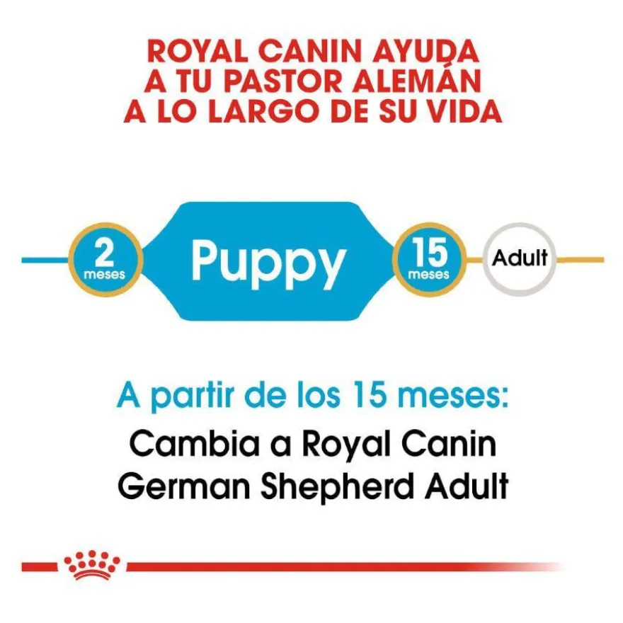 Royal Canin Puppy Pastor Alemán pienso para perros