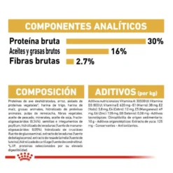 Royal Canin Puppy Pastor Alemán pienso para perros