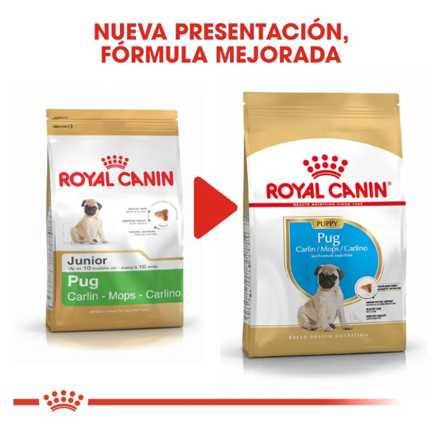 Royal Canin Puppy Pug pienso para perros