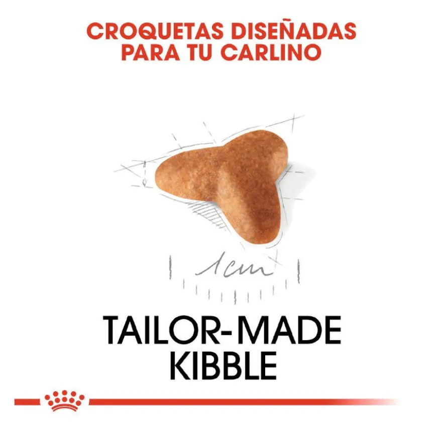 Royal Canin Puppy Pug pienso para perros
