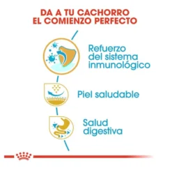 Royal Canin Puppy Pug pienso para perros