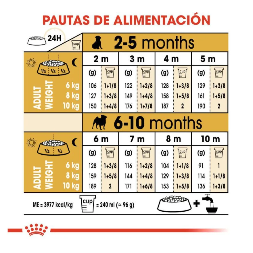 Royal Canin Puppy Pug pienso para perros
