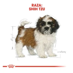 Royal Canin Puppy Shih Tzu pienso para perros