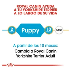 Royal Canin Puppy Yorkshire Terrier pienso para perros