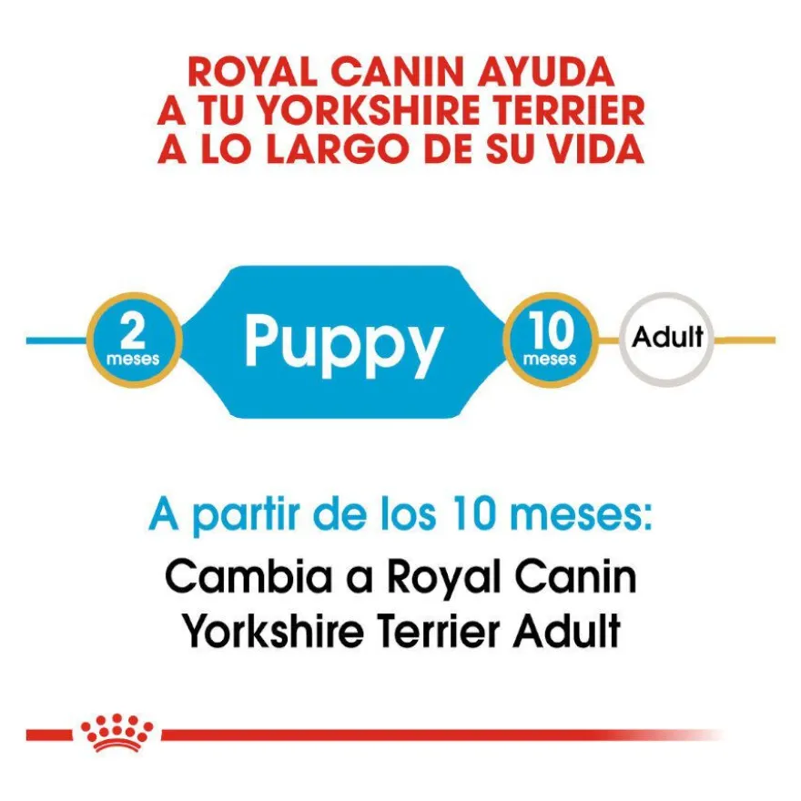 Royal Canin Puppy Yorkshire Terrier pienso para perros