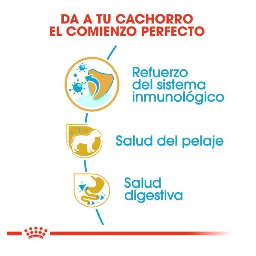 Royal Canin Puppy Yorkshire Terrier pienso para perros