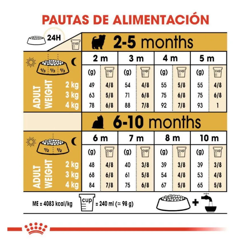 Royal Canin Puppy Yorkshire Terrier pienso para perros