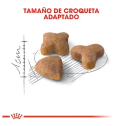 Royal Canin Regular Sensible 33 pienso para gatos