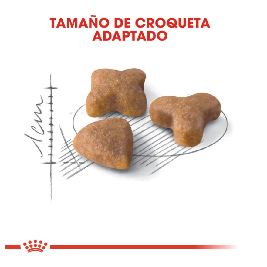 Royal Canin Regular Sensible 33 pienso para gatos