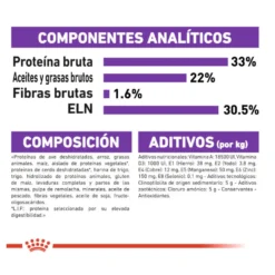 Royal Canin Regular Sensible 33 pienso para gatos