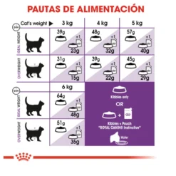 Royal Canin Regular Sensible 33 pienso para gatos
