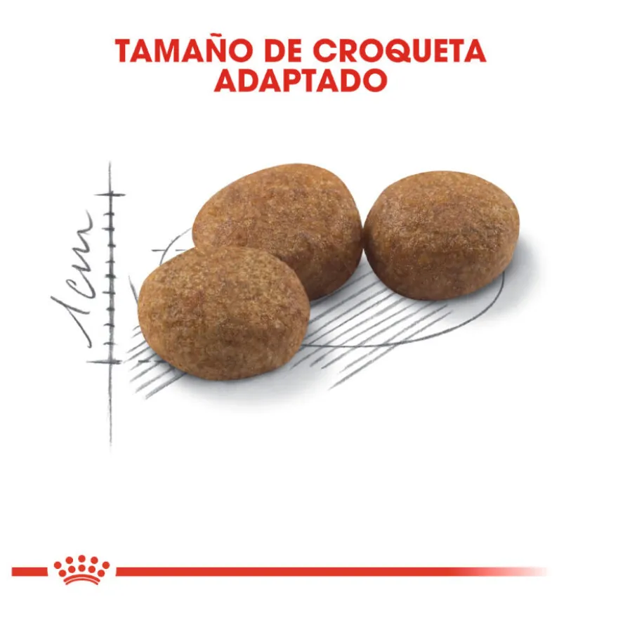 Royal Canin Regular Sterilised 37 pienso para gatos