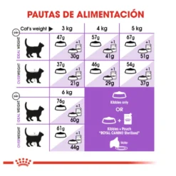 Royal Canin Regular Sterilised 37 pienso para gatos