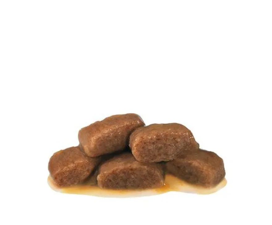Royal Canin Renal Buey sobre para gatos