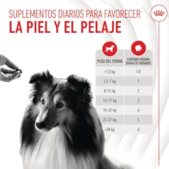 Royal Canin Skin & Coat Chews Adult Suplemento nutricional para perros