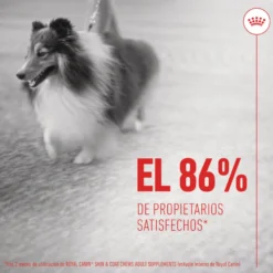 Royal Canin Skin & Coat Chews Adult Suplemento nutricional para perros