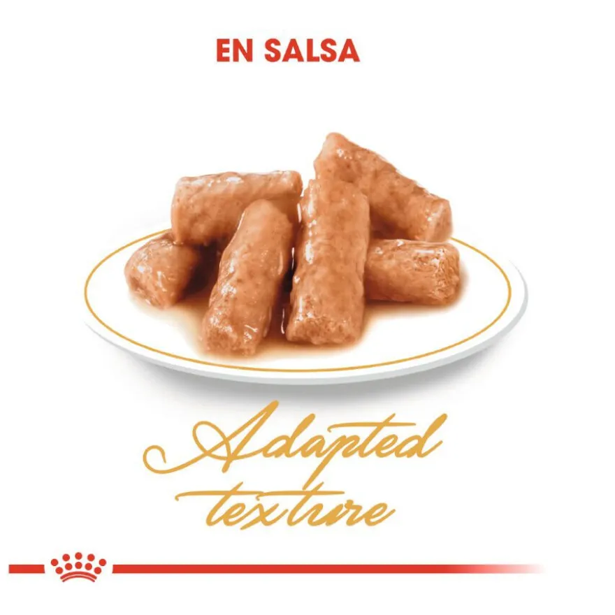 Royal Canin Sobre en Salsa British Shorthair Adult